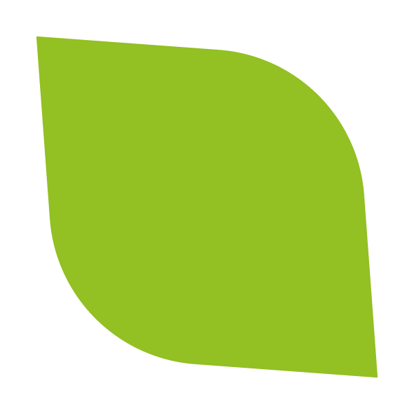 Pitch Template